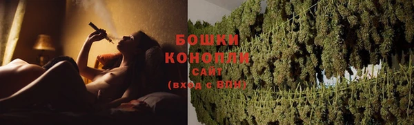ПСИЛОЦИБИНОВЫЕ ГРИБЫ Аркадак