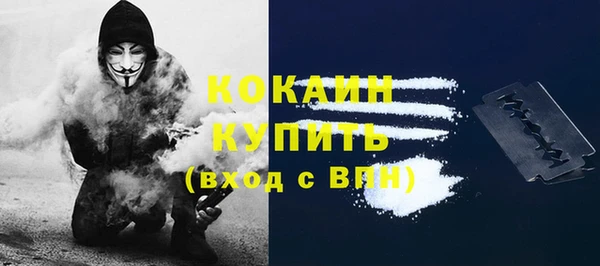 дурь Арсеньев
