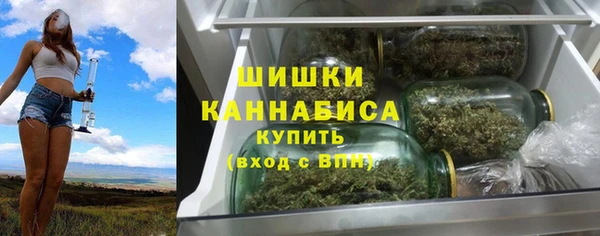 дурь Арсеньев